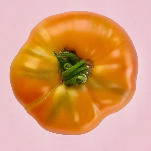 Tomaten: Virginia Sweets