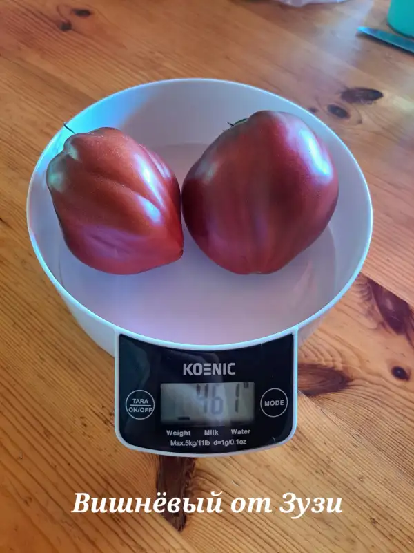 Tomaten: Vischnjovij ot Zuzi (Zuzi)