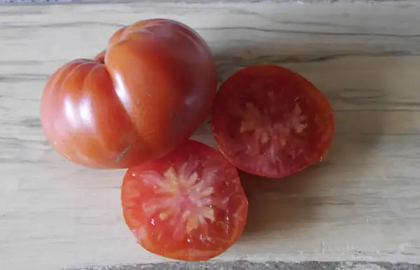 Tomaten: Vivagrande