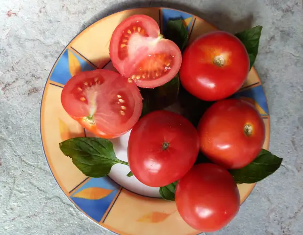 Tomaten: Vivaroma