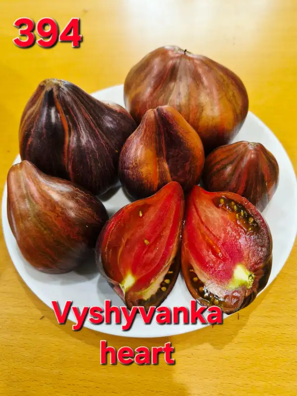 Tomaten: Vyshyvanka heart