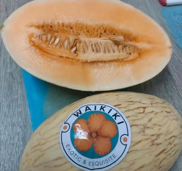 Obst: Waikiki Melone