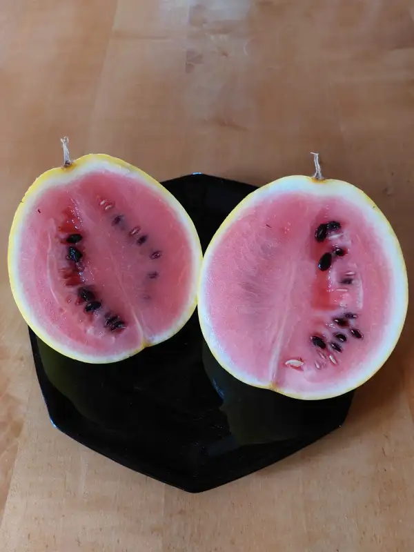 andere Gemüse: Wassermelone freilandtauglich