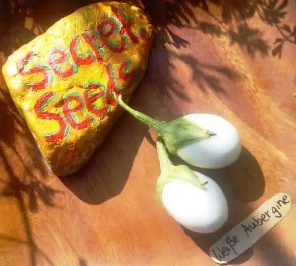 andere Gemüse: Weiße Aubergine