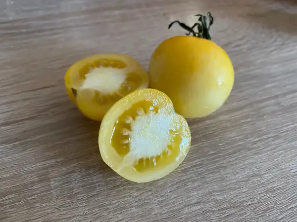 Tomaten: Weißer Pfirsich