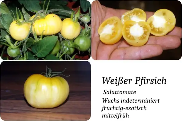 Tomaten: Weißer Pfirsich