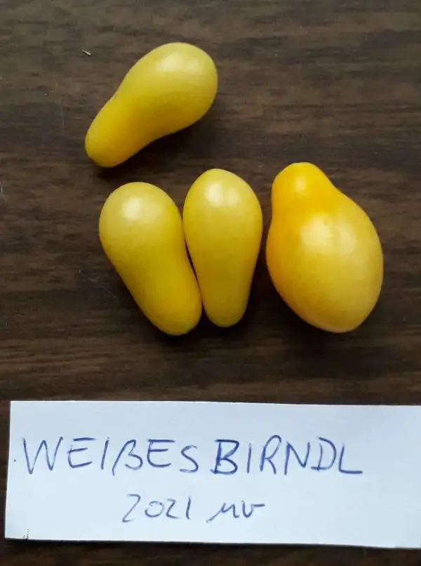 Tomaten: Weißes Birndl