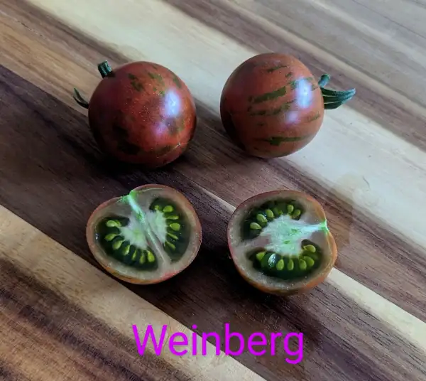 Tomaten: Weinberg