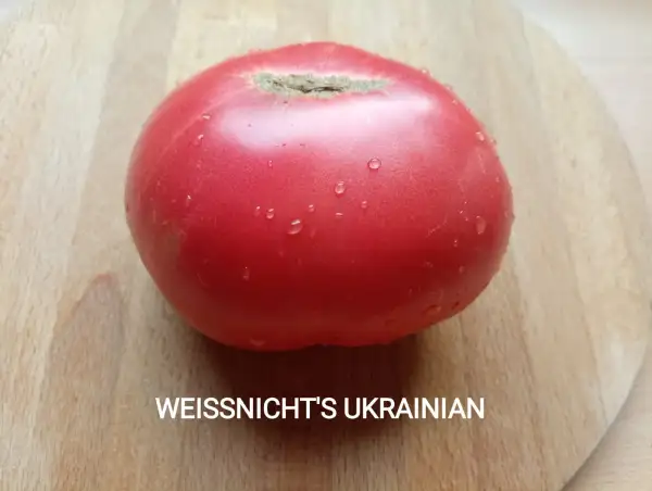 Tomaten: WEISNICHT