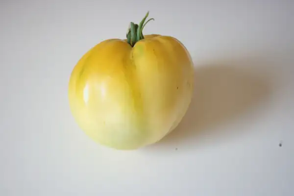 Tomaten: Weisse Schönheit