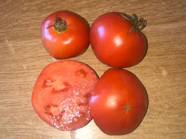 Tomaten: West Virginia 63