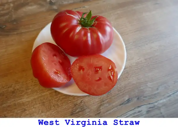 Tomaten: West Virginia Straw