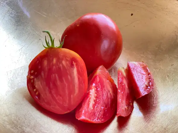 Tomaten: West Virginia Sweet