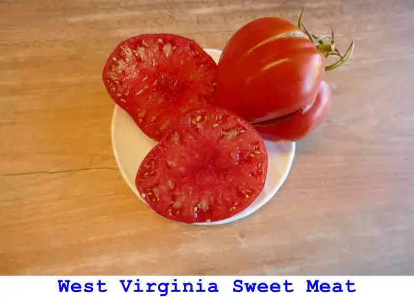 Tomaten: West Virginia Sweet Meat
