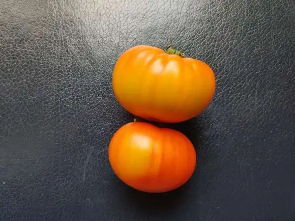 Tomaten: Wherokowhai