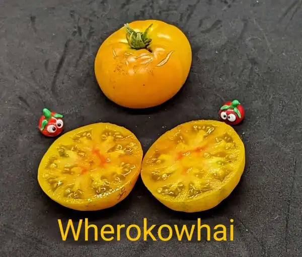 Tomaten: Wherokowhai