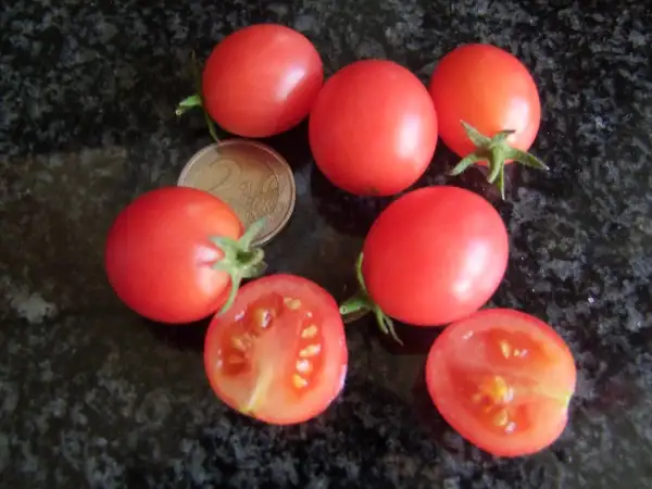 Tomaten: Whippersnapper