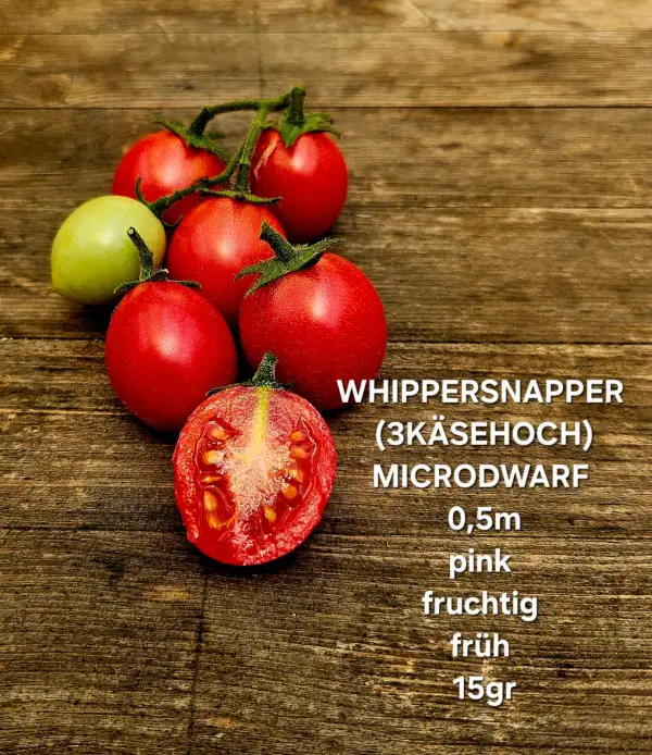 Tomaten: Whippersnapper