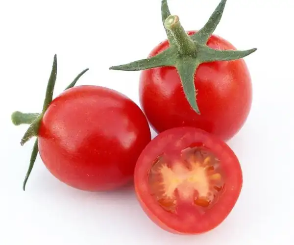 Tomaten: Whippersnapper = 3Käse hoch = Freluguet =Frechdachs = Gernegroß