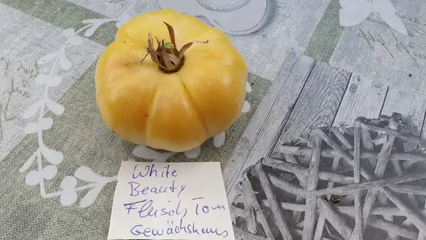Tomaten: White Beauty - Fleischtomate