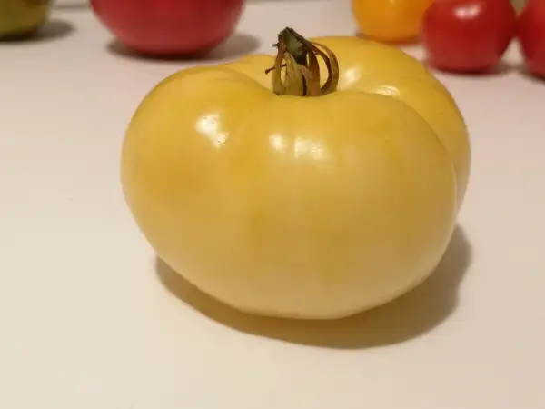 Tomaten: White Beauty