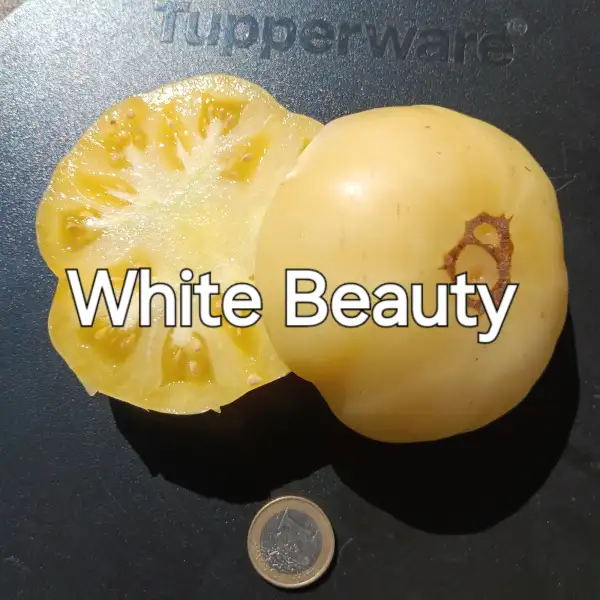 Tomaten: White Beauty