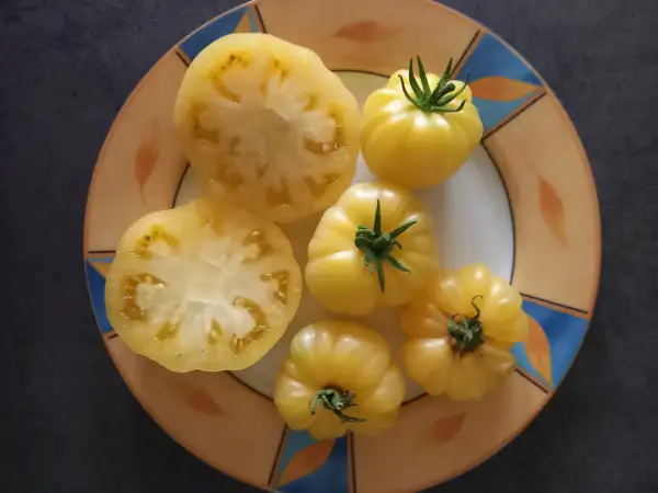 Tomaten: White Beauty