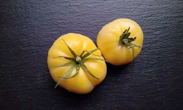 Tomaten: White Beauty