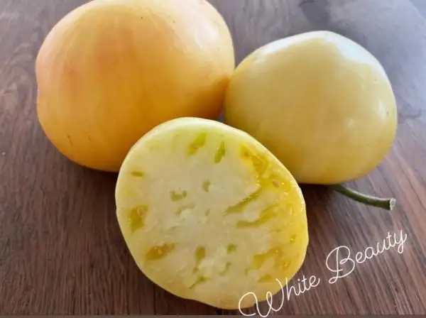 Tomaten: White Beauty