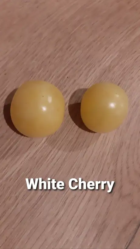 Tomaten: White Cherry