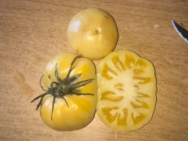Tomaten: White Heirloom