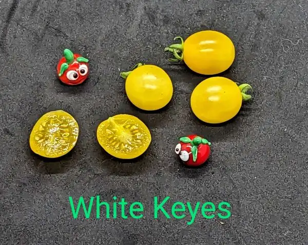 Tomaten: White Keyes