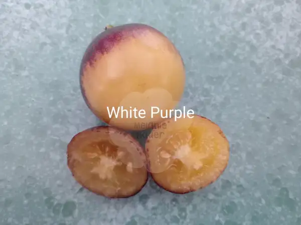 Tomaten: White Purple