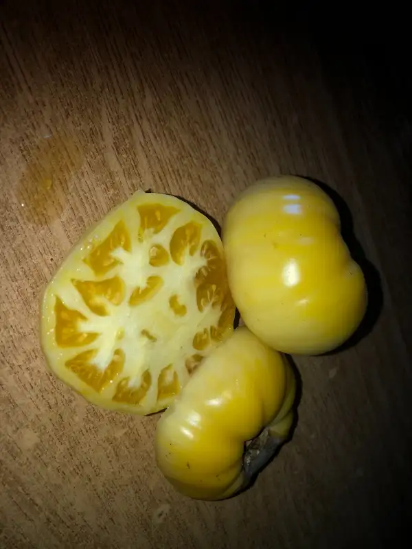 Tomaten: White Tomesol