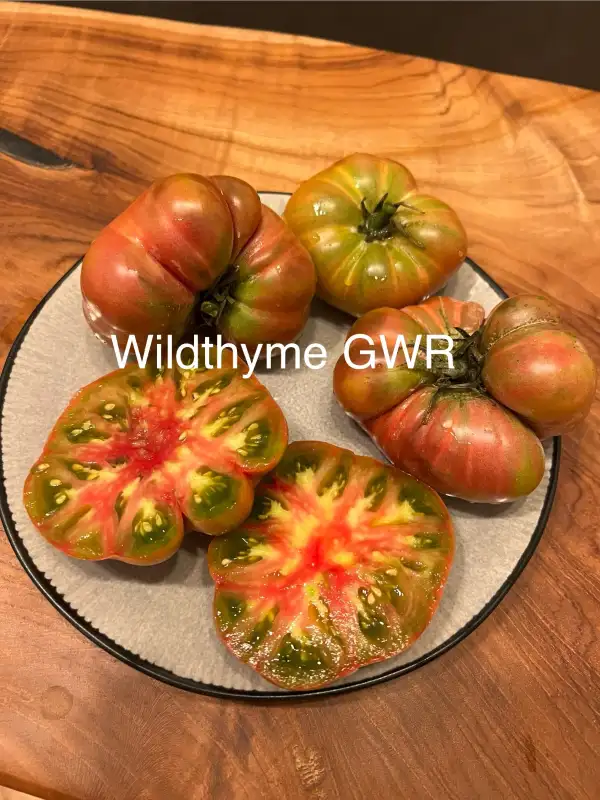 Tomaten: Wildthyme GWR