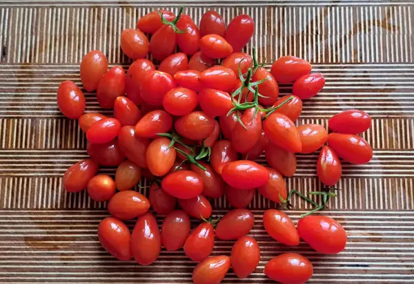 Tomaten: Wildtomate Mini Parvula