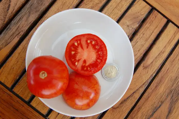 Tomaten: wildtomate rot mit gelben Streifen