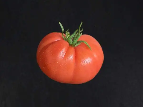 Tomaten: Willa’s Cariboo Rose