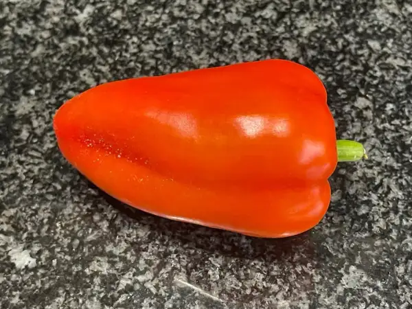 Chili / Paprika: Winnie the Pooh  Paprika