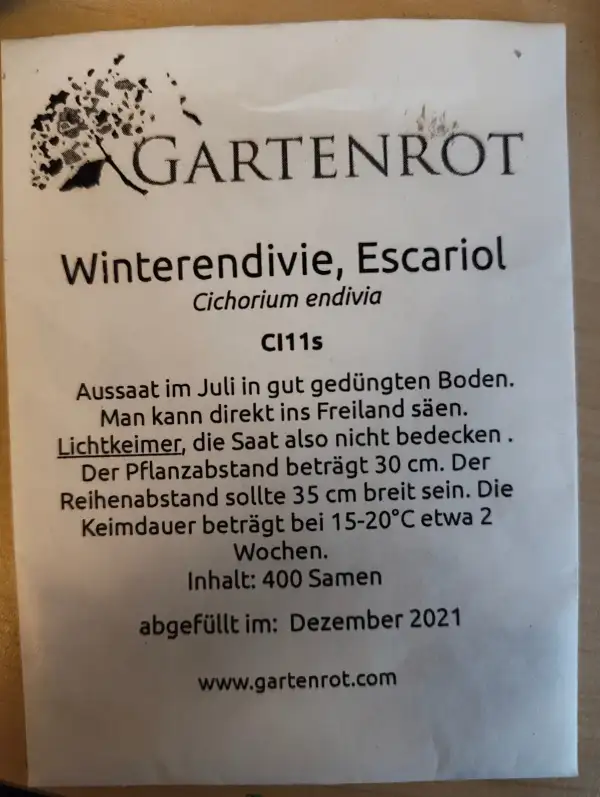 Salate: Winterendivie