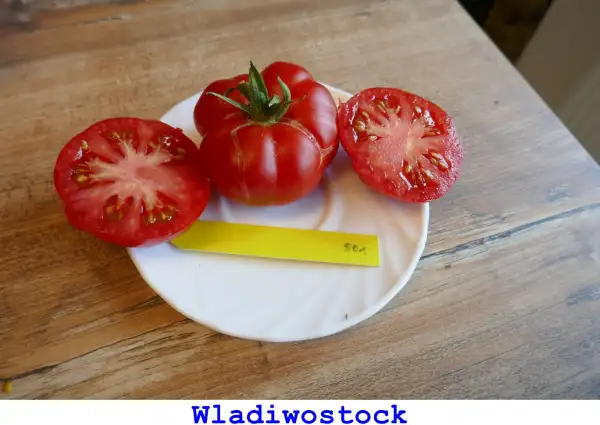 Tomaten: Wladiwostock