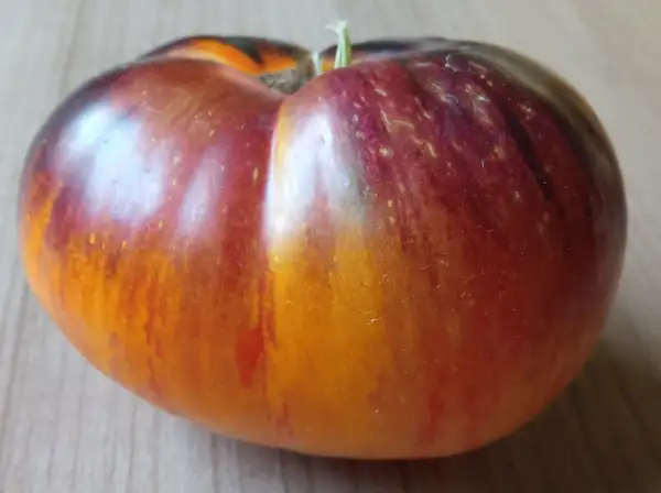 Tomaten: Wolverine