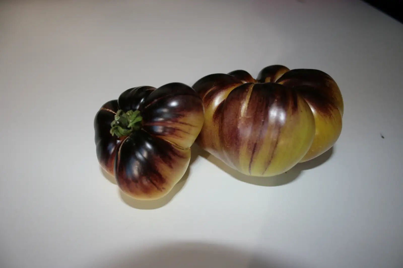 Tomaten: Wolverine
