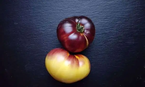 Tomaten: Wolverine