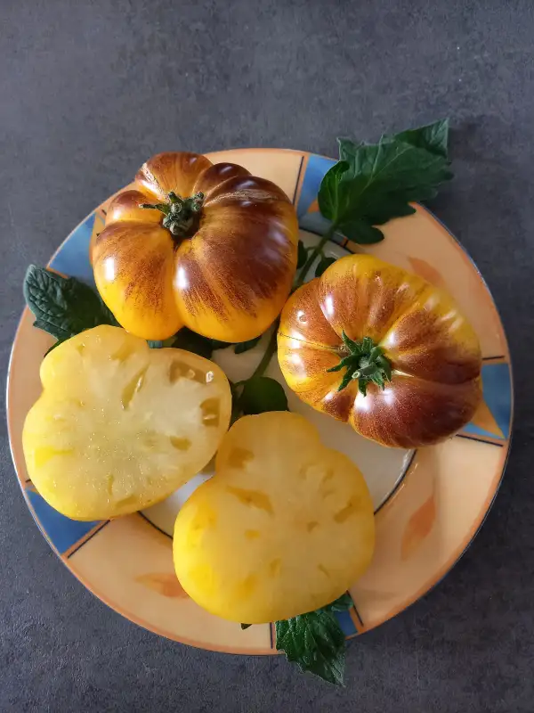 Tomaten: Wolverine