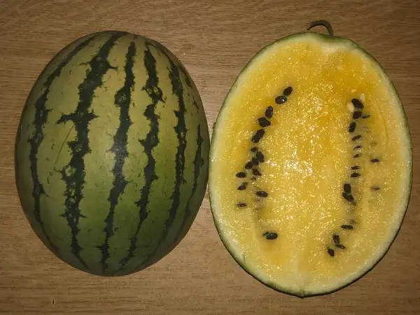 Melonen: Wonder Berry wassermelone