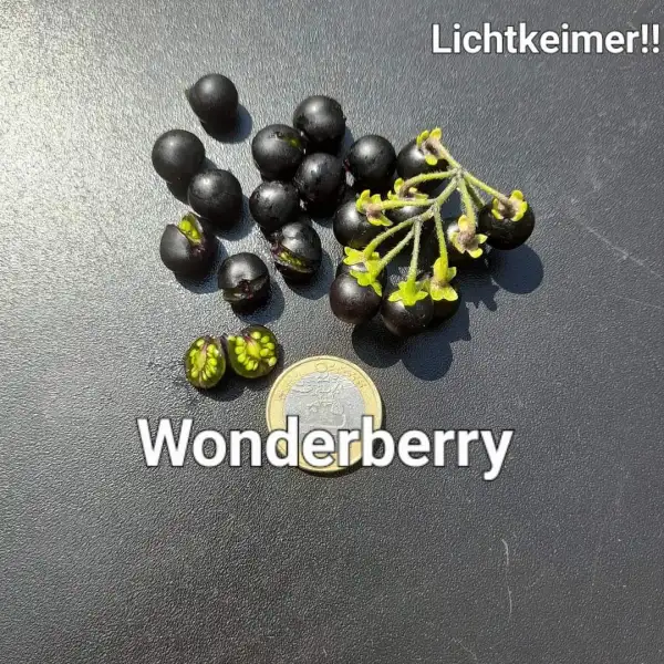 Beeren: Wonderberry