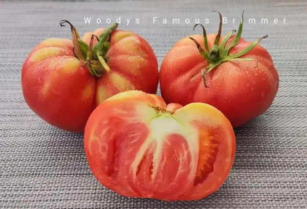 Tomaten: Woodys Famous Brimmer