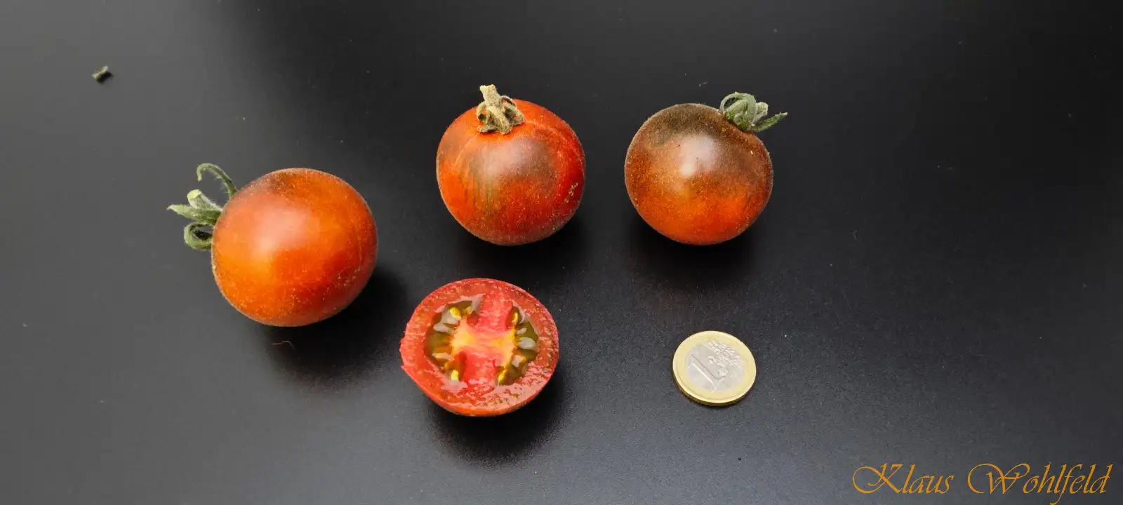 Tomaten: Wooly Blue Jay