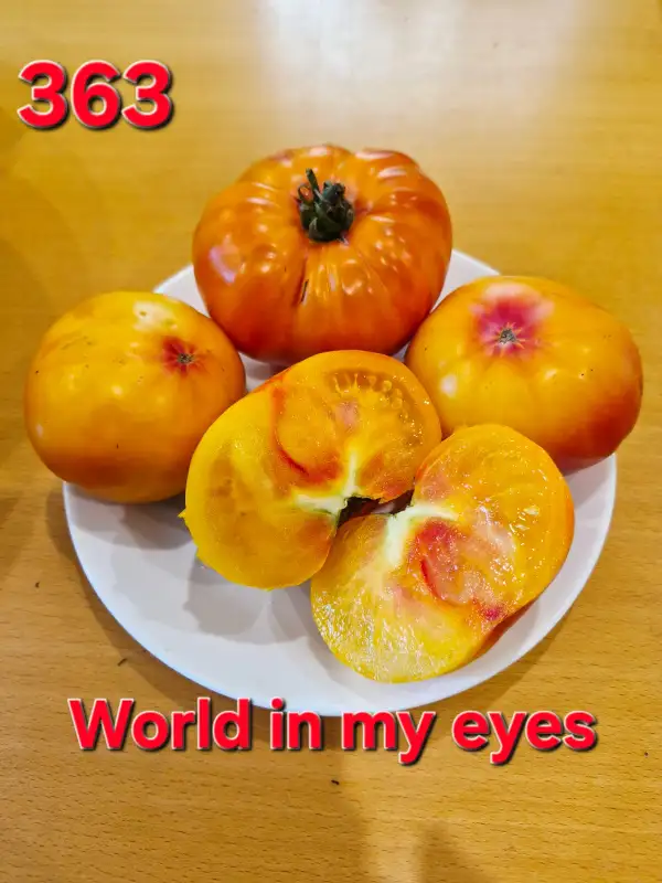 Tomaten: World in my eyes